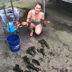 Meet your Posher, Crystal